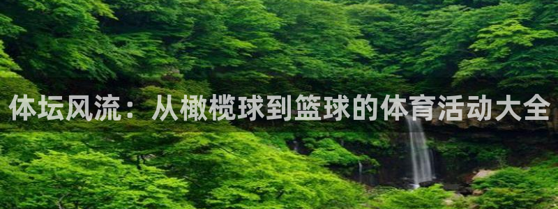 体坛风流：从橄榄球到篮球的体育活动大全