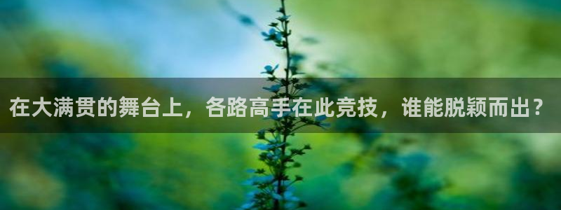 在大满贯的舞台上，各路高手在此竞技，谁能脱颖而出？