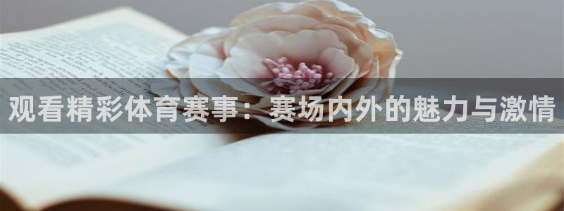 观看精彩体育赛事：赛场内外的魅力与激情
