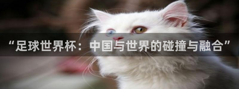 “足球世界杯：中国与世界的碰撞与融合”