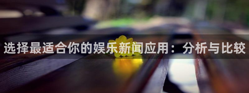 选择最适合你的娱乐新闻应用：分析与比较