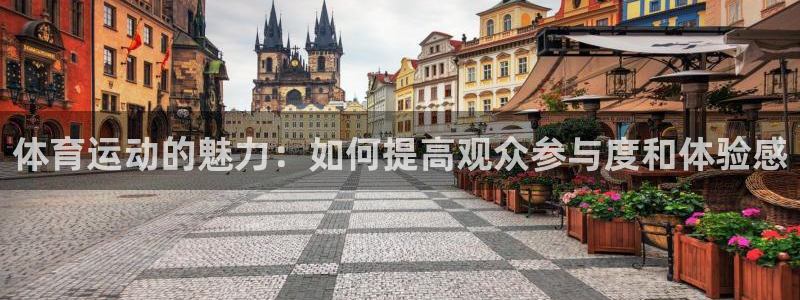 体育运动的魅力：如何提高观众参与度和体验感