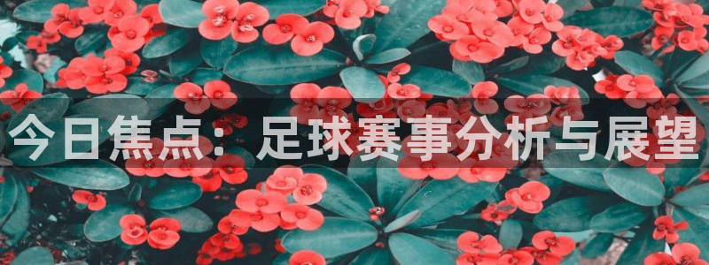 今日焦点：足球赛事分析与展望