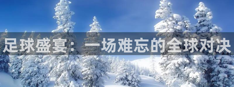 足球盛宴：一场难忘的全球对决