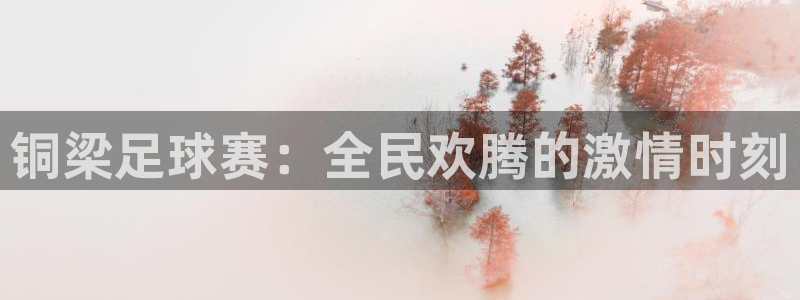 铜梁足球赛：全民欢腾的激情时刻