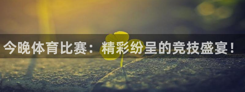 今晚体育比赛：精彩纷呈的竞技盛宴！