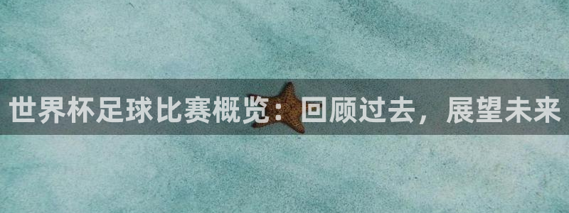 世界杯足球比赛概览：回顾过去，展望未来