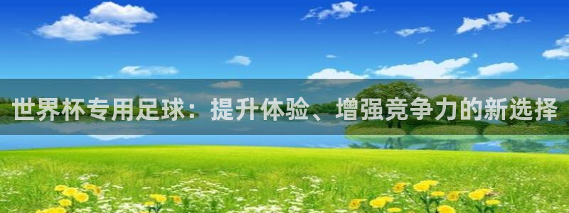 世界杯专用足球：提升体验、增强竞争力的新选择