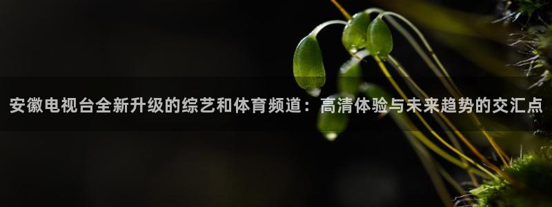 安徽电视台全新升级的综艺和体育频道：高清体验与未来趋势的交汇点