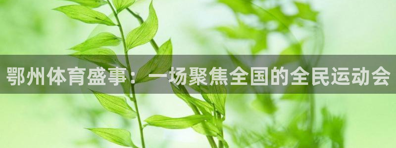 鄂州体育盛事：一场聚焦全国的全民运动会