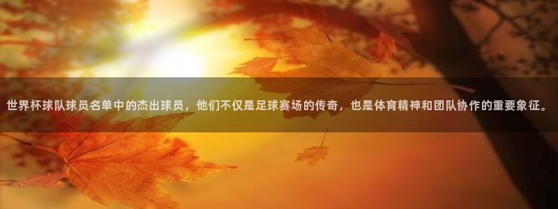 世界杯球队球员名单中的杰出球员，他们不仅是足球赛场的传奇，也是体育精神和团队协作的重要象征。